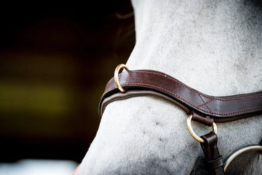 Buy Horseware Ireland Micklem 2 Multi Bridle| Online for Equine