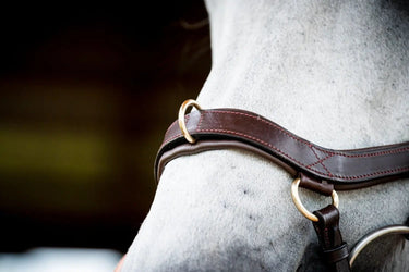 Buy Horseware Ireland Micklem 2 Multi Bridle| Online for Equine