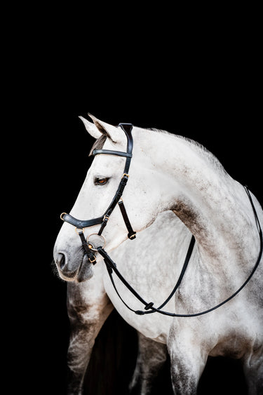 Buy Horseware Ireland Micklem 2 Multi Bridle| Online for Equine