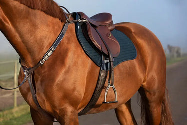 Horseware Ireland Micklem Breastplate W/Martingale| Online For Equine