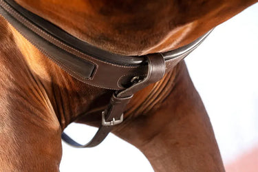 Horseware Ireland Micklem Breastplate W/Martingale| Online For Equine