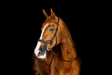 Horseware Ireland Micklem Competition Bridle| Online For Equine