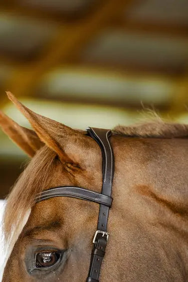 Horseware Ireland Micklem Competition Bridle| Online For Equine