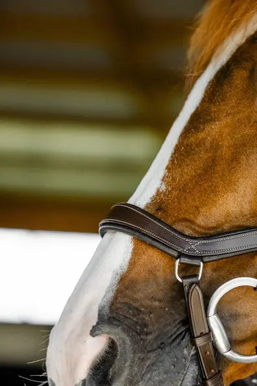 Horseware Ireland Micklem Competition Bridle| Online For Equine
