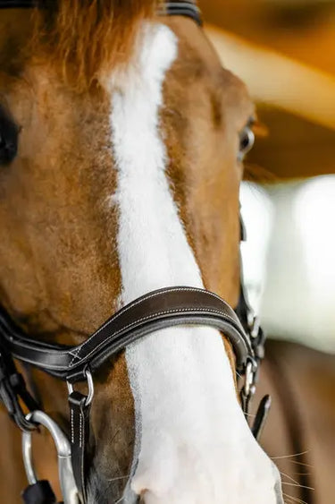 Horseware Ireland Micklem Competition Bridle| Online For Equine