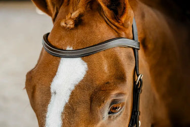 Horseware Ireland Micklem Competition Bridle| Online For Equine
