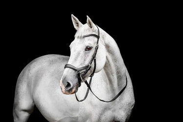 Horseware Ireland Micklem Competition Bridle| Online For Equine