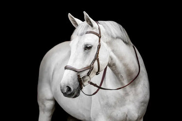 Horseware Ireland Micklem Deluxe Competition| Online For Equine