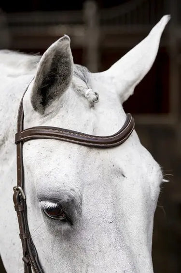 Horseware Ireland Micklem Deluxe Competition| Online For Equine