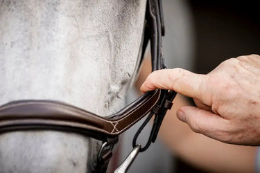 Horseware Ireland Micklem Deluxe Competition| Online For Equine