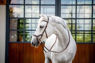 Horseware Ireland Micklem Deluxe Competition| Online For Equine