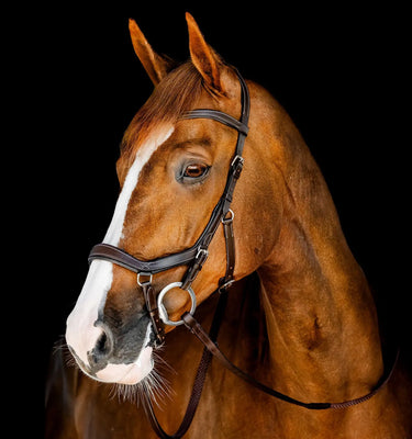 Horseware Ireland Micklem Multi Bridle| Online For Equine