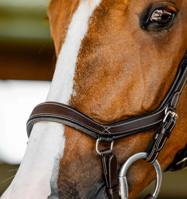 Horseware Ireland Micklem Multi Bridle| Online For Equine