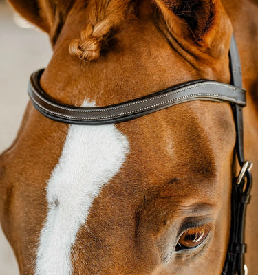 Horseware Ireland Micklem Multi Bridle| Online For Equine
