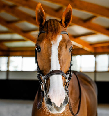 Horseware Ireland Micklem Multi Bridle| Online For Equine
