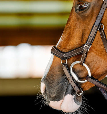 Horseware Ireland Micklem Multi Bridle| Online For Equine