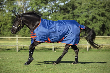 Buy Horseware Ireland Mio Lite Standard Neck Turnout Rug| Online for Equine