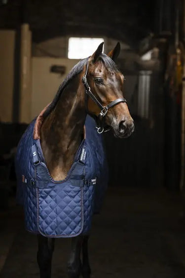 Horseware Ireland Navy/Brown & Silver Horseware Ireland Signature Stable 200g| Online For Equine