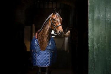 Horseware Ireland Navy/Brown & Silver Horseware Ireland Signature Stable 200g| Online For Equine