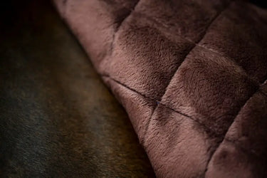 Horseware Ireland Navy/Brown & Silver Horseware Ireland Signature Stable 200g| Online For Equine