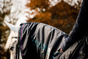 Horseware Ireland Navy/Burgundy & Teal & Navy Rambo Mack in a Sack| Online For Equine