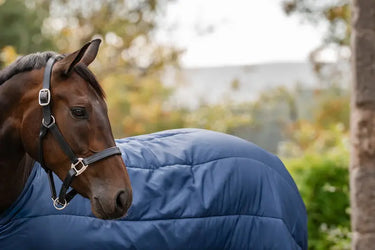 Horseware Ireland Navy/Navy Horseware Ireland Liner 300g| Online For Equine
