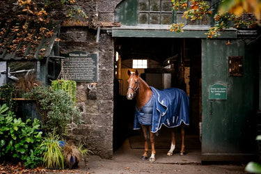 Horseware Ireland Navy/Navy Horseware Ireland Liner 300g| Online For Equine