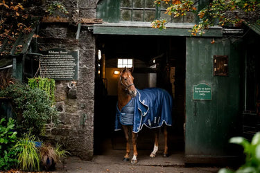 Horseware Ireland Navy/Navy Horseware Ireland Liner 300g| Online For Equine