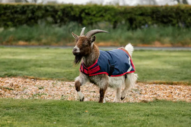 Horseware Ireland Navy/Red Horseware Ireland Goat Coat 0g| Online For Equine
