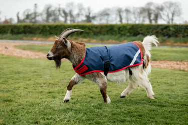 Horseware Ireland Navy/Red Horseware Ireland Goat Coat 0g| Online For Equine