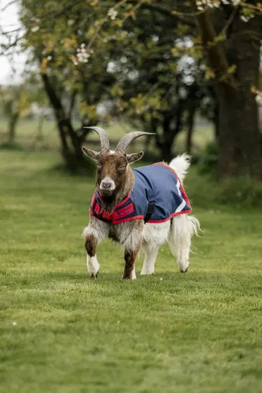 Horseware Ireland Navy/Red Horseware Ireland Goat Coat 0g| Online For Equine
