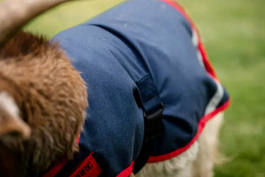Horseware Ireland Navy/Red Horseware Ireland Goat Coat 0g| Online For Equine