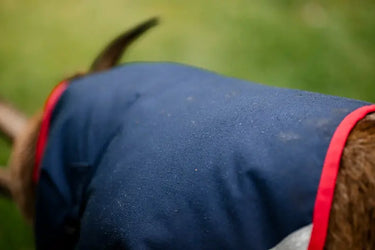 Horseware Ireland Navy/Red Horseware Ireland Goat Coat 0g| Online For Equine