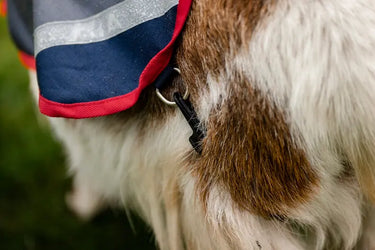 Horseware Ireland Navy/Red Horseware Ireland Goat Coat 0g| Online For Equine
