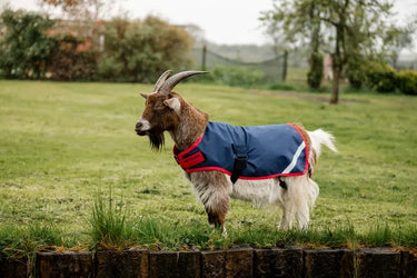 Horseware Ireland Navy/Red Horseware Ireland Goat Coat 0g| Online For Equine