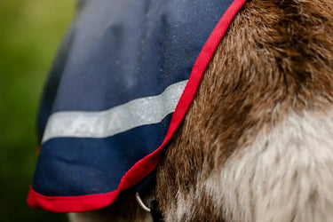 Horseware Ireland Navy/Red Horseware Ireland Goat Coat 200g| Online For Equine