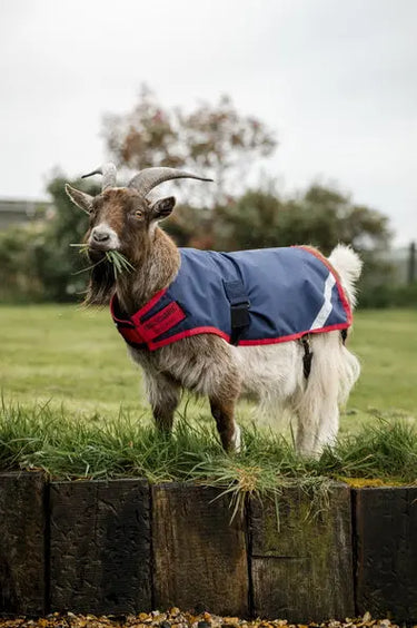 Horseware Ireland Navy/Red Horseware Ireland Goat Coat 200g| Online For Equine