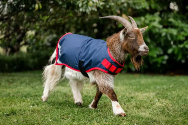 Horseware Ireland Navy/Red Horseware Ireland Goat Coat 200g| Online For Equine