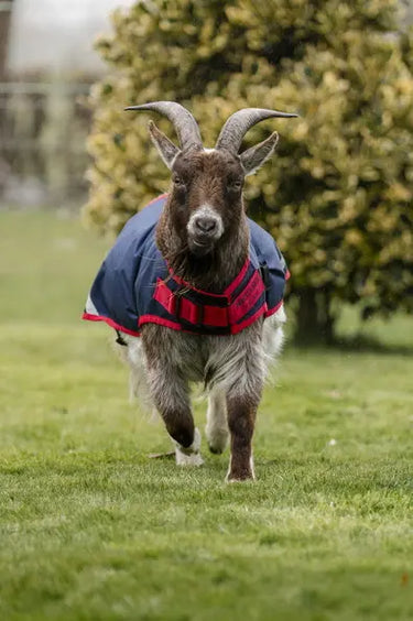 Horseware Ireland Navy/Red Horseware Ireland Goat Coat 200g| Online For Equine