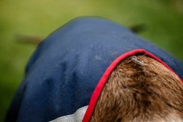 Horseware Ireland Navy/Red Horseware Ireland Goat Coat 200g| Online For Equine