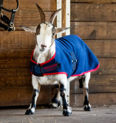 Horseware Ireland Navy/Red Horseware Ireland Goat Fleece| Online For Equine
