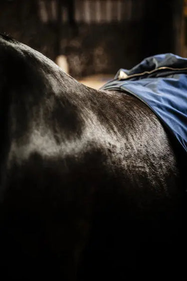 Horseware Ireland Navy/Silver Rambo Supreme Dry Rug| Online For Equine