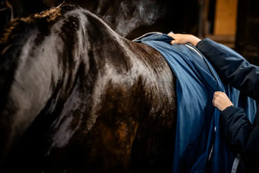Horseware Ireland Navy/Silver Rambo Supreme Dry Rug| Online For Equine
