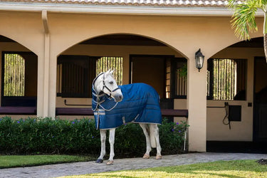 Horseware Ireland Navy/Titanium Grey Amigo Ripstop Insulator Plus Stable 350g| Online For Equine