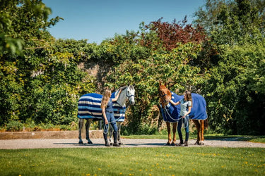 Horseware Ireland Newmarket Cosy Fleece Cooler| Online For Equine