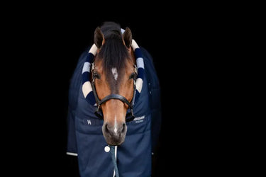 Horseware Ireland Newmarket Cosy Stable Rug 100G| Online For Equine