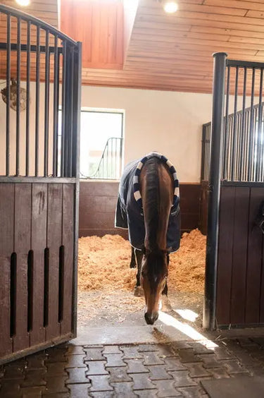 Horseware Ireland Newmarket Cosy Stable Rug 200G| Online For Equine