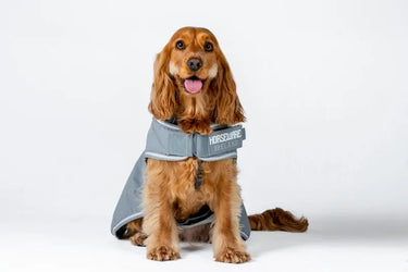Horseware Ireland Newmarket Dog Coat Witney Charcoal| Online For Equine