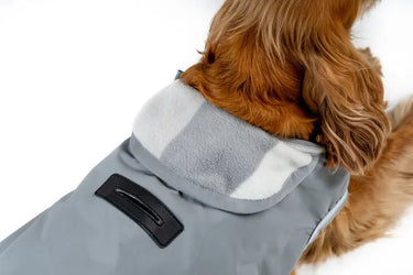 Horseware Ireland Newmarket Dog Coat Witney Charcoal| Online For Equine