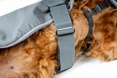 Horseware Ireland Newmarket Dog Coat Witney Charcoal| Online For Equine